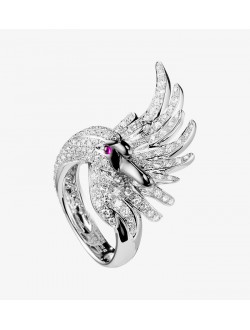 Exerci Tation Exerci Tation